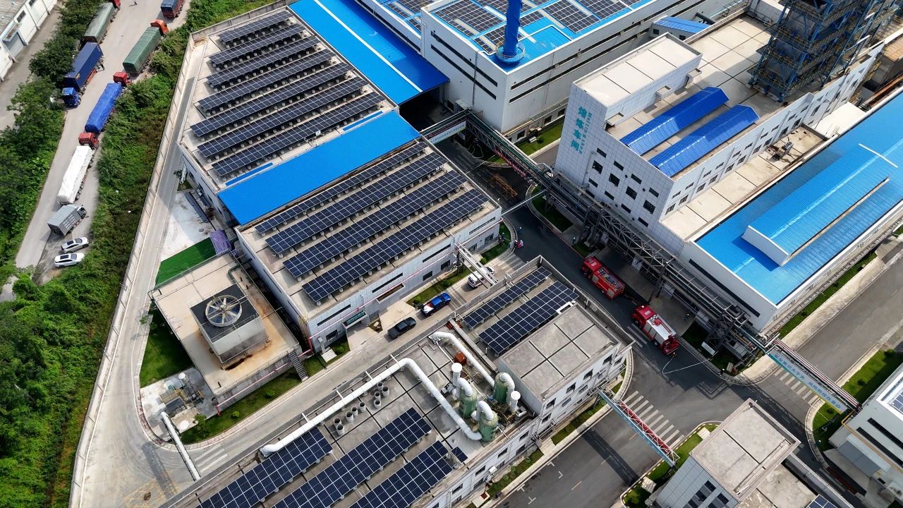 1753863264594809.jpg 3.jpg